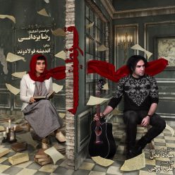 Player Cover